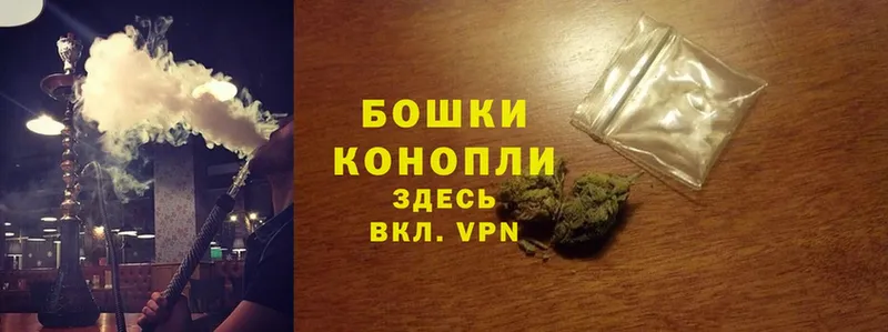 где найти наркотики  Великий Устюг  Конопля SATIVA & INDICA 